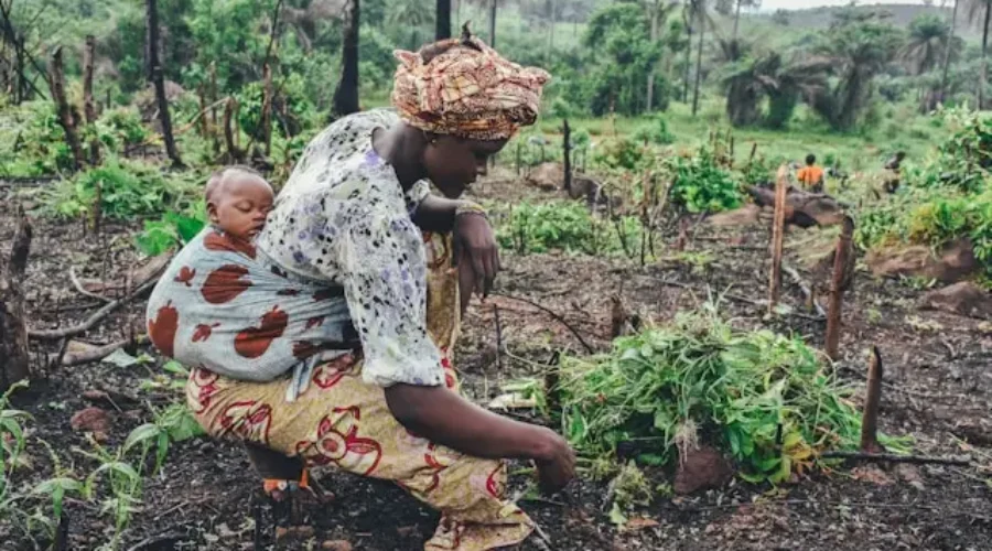 Transforming Agriculture Services in Uganda